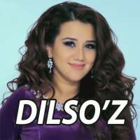 Dilso'z - qo'shiqlar internetsiz, offlayn on 9Apps