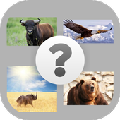 Adivina cuál es? icon