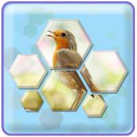 Hexa! Jigsaw - Block hexa puzzle game