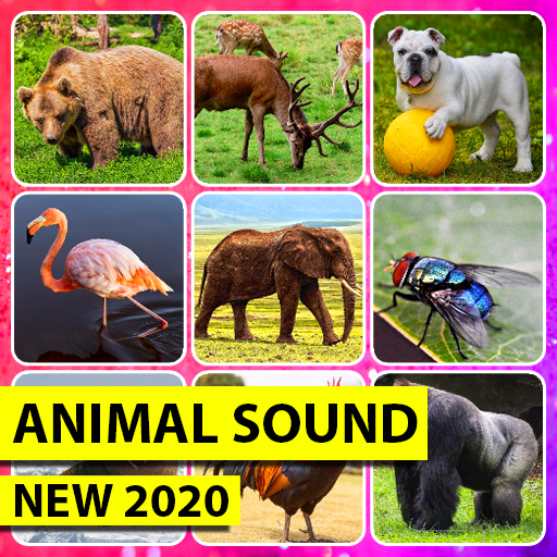 Animal Sound - Real Sound Of Animals icon