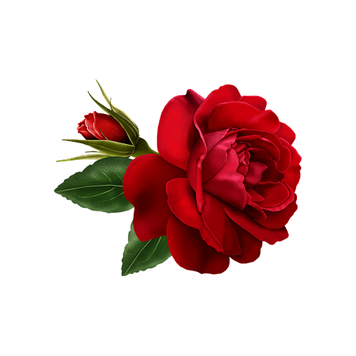 Flowers and Roses Live Wallpaper icon