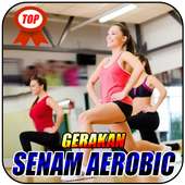 Gerakan Senam Aerobic on 9Apps