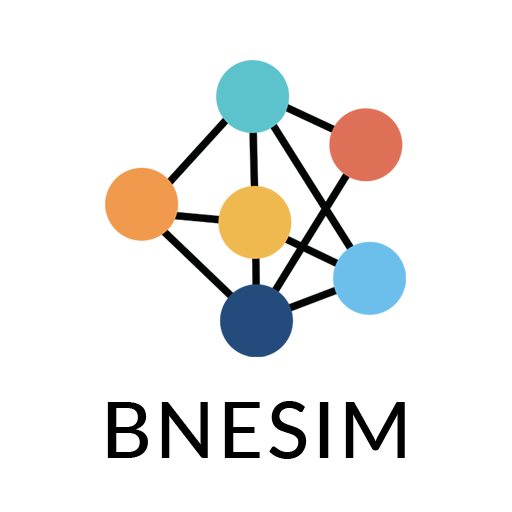 BNESIM: eSIM card, Mobile Data icon