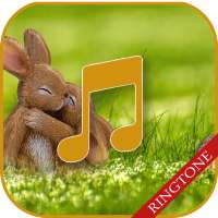 Cute Ringtones for Message