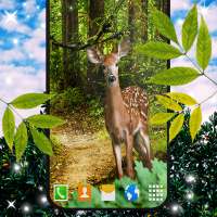 Forest Live Wallpaper on 9Apps