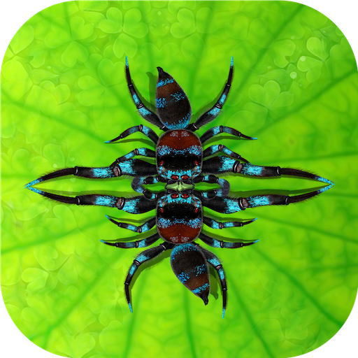 Fighting Spiders icon