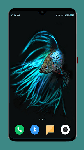 Betta Fish Wallpapers 4K screenshot 3