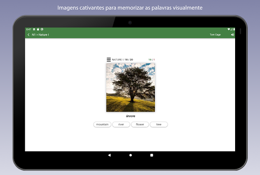 Aprender Vocabulário Inglês screenshot 18