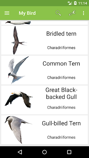 My Bird - Brids of France screenshot 5