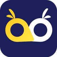 OWL VPN: Secure VPN Master Private Internet Access on 9Apps