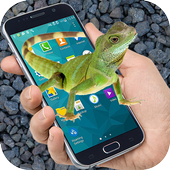 Lizard on Screen icon