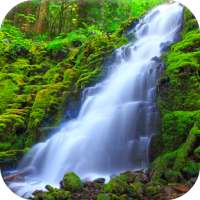 Waterfall Video Wallpaper Free