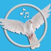 Bird Sounds &amp; Ringtones icon