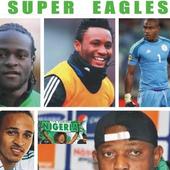 Super Eagles icon