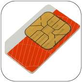 Sim Checker with NIC