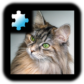 Jigsaw Puzzle: Cat icon