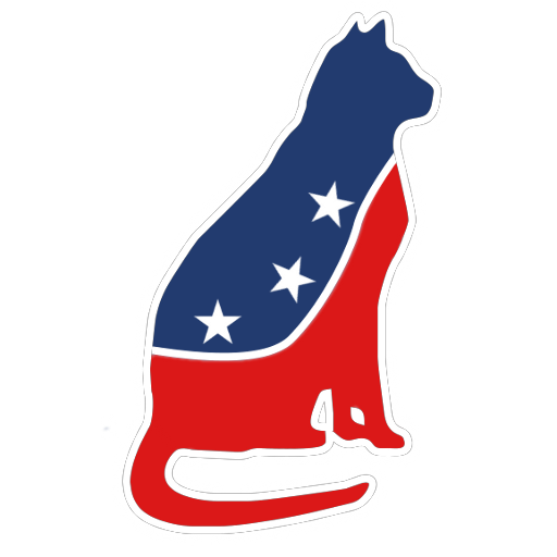 Patriotic Cat Fireworks LWP icon