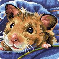 Hamster Pet Puzzles