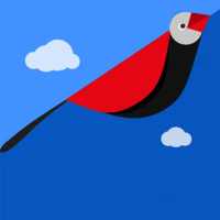 Meskel Bird - የመስቀል ወፍ(yemeskel wef)