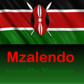 Mzalendo lite icon