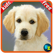 Kids Preschool Learning Cards icon