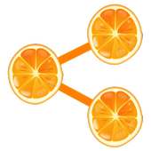 Snippet Share Plugin