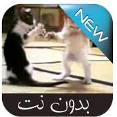 رد علينا يا بابا on 9Apps