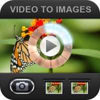 Video To Images