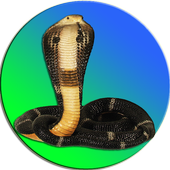Snake On Screen Cobra Simulator иконка