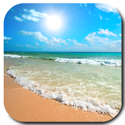 Beach Video Live Wallpaper icon