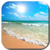 Beach Video Live Wallpaper