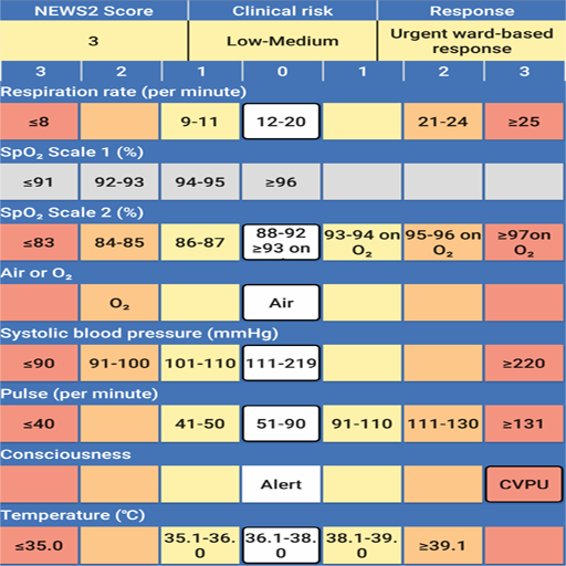 News 2 Chart Spanish icon