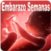 Semanas de Embarazo Guide on 9Apps