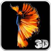 Betta Fish 3D Live Wallpaper on 9Apps