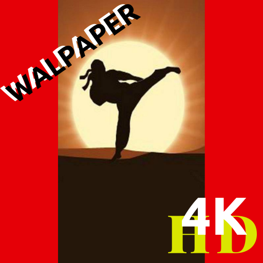 Shadow wallpaper Fight 2  HD for smartphone icon