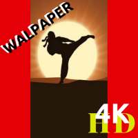 Shadow wallpaper Fight 2  HD for smartphone