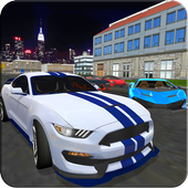 Car Drive Game - Free Driving Simulator 3D icon