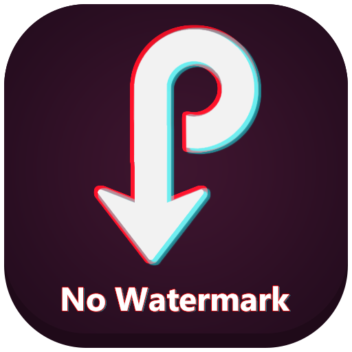 Video Downloader for TikTok No Watermark ssstiktok icon