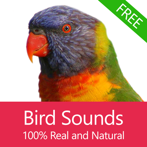 Bird Sounds icon