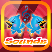 Bird Sounds Ringtones icon