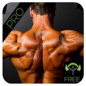 Shoulder Exercise icon