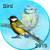 Bird 2016 Ringtones icon