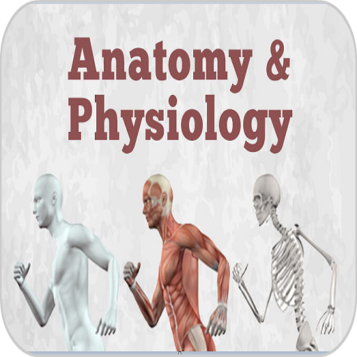 Human Anatomy &amp; Physiology icon
