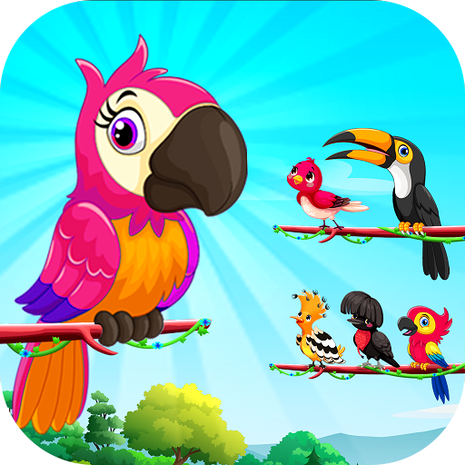 Bird Sort Color: Budgie Puzzle icon
