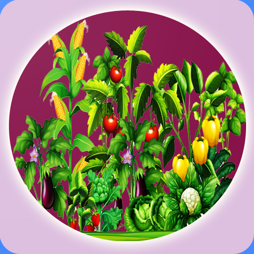Organic Vegetables Farming icon