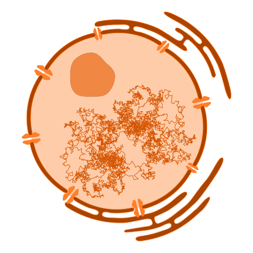 Biologie Akademie (Oberstufe) icon