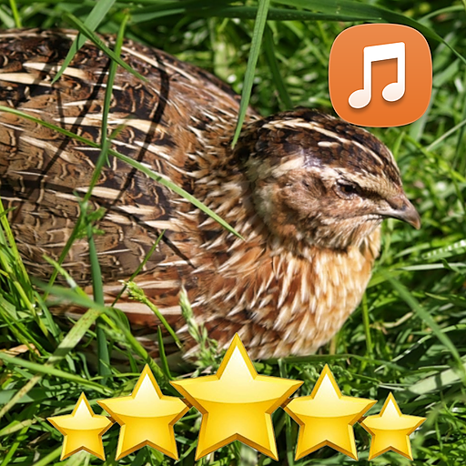 Quail Sounds HD icon