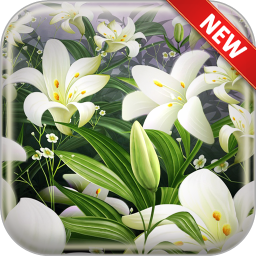 Lily Wallpapers icon