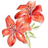 Learn How To Draw Flowers - Step By Step Drawing icon