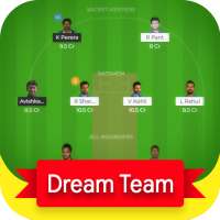 Dream Team11 -Dream 11 IPL Cricket Team Prediction